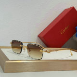 Cartier Sunglasses AAA (1680)