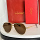 Cartier Sunglasses AAA (289)