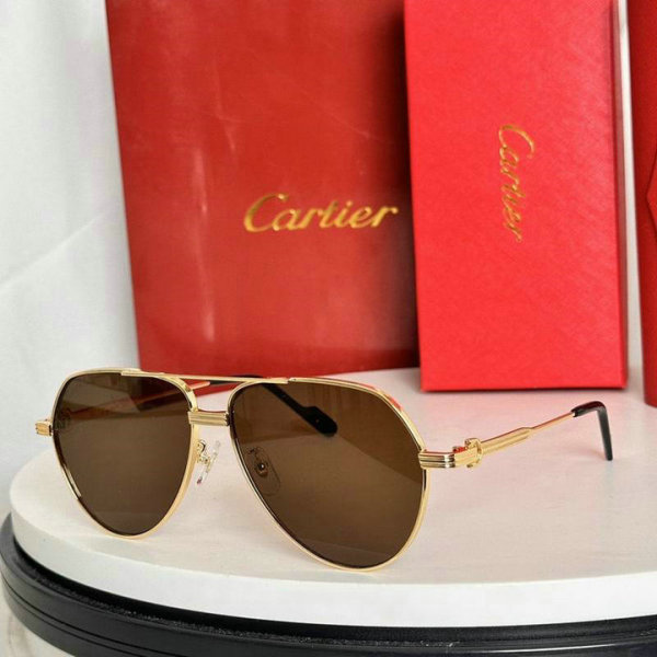 Cartier Sunglasses AAA (289)