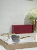 Cartier Sunglasses AAA (661)