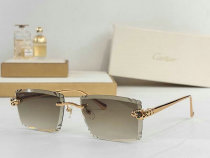 Cartier Sunglasses AAA (1618)