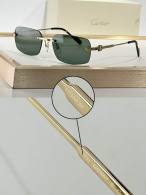 Cartier Sunglasses AAA (3574)