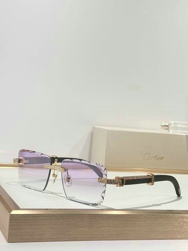 Cartier Sunglasses AAA (33)