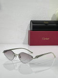 Cartier Sunglasses AAA (608)