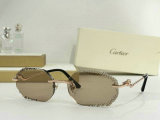 Cartier Sunglasses AAA (273)