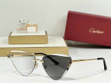 Cartier Sunglasses AAA (1136)
