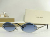 Cartier Sunglasses AAA (244)