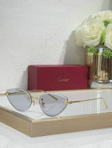 Cartier Sunglasses AAA (570) Cartier Sunglasses AAA (570)