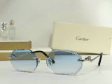 Cartier Sunglasses AAA (272)
