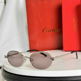 Cartier Sunglasses AAA (1687)