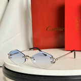 Cartier Sunglasses AAA (204)