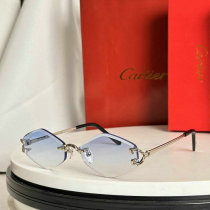 Cartier Sunglasses AAA (204) Cartier Sunglasses AAA (204)