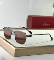 Cartier Sunglasses AAA (505)