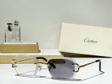 Cartier Sunglasses AAA (690)