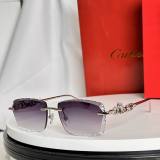 Cartier Sunglasses AAA (1846)