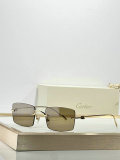 Cartier Sunglasses AAA (357)