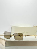 Cartier Sunglasses AAA (357)