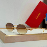 Cartier Sunglasses AAA (1666)