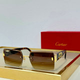 Cartier Sunglasses AAA (1392)