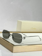Cartier Sunglasses AAA (71)
