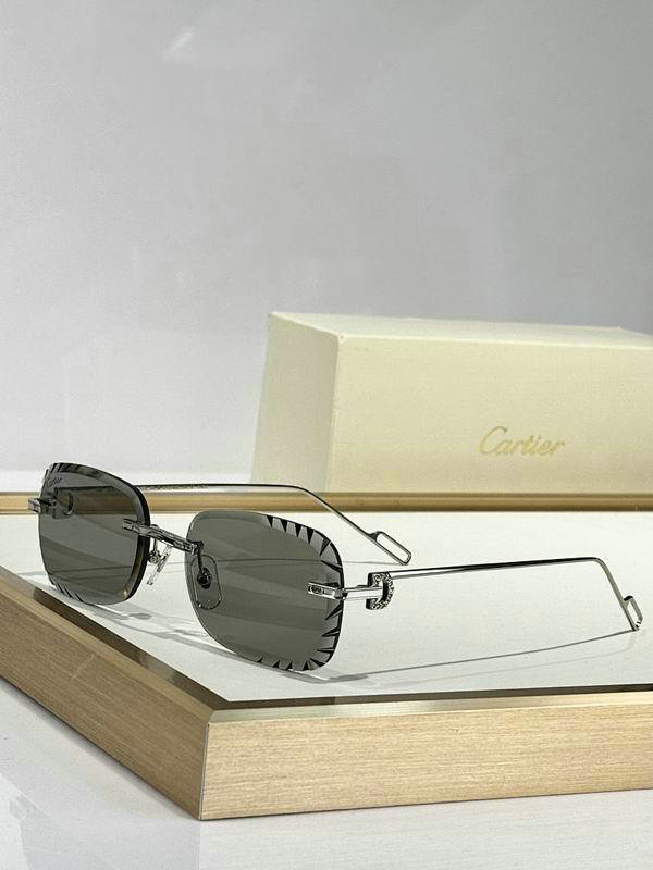 Cartier Sunglasses AAA (71)