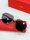 Cartier Sunglasses AAA (322)