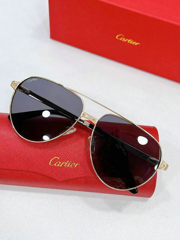 Cartier Sunglasses AAA (322)
