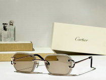 Cartier Sunglasses AAA (697) Cartier Sunglasses AAA (697)
