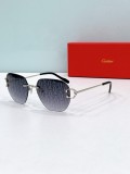 Cartier Sunglasses AAA (3048)