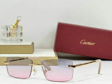 Cartier Sunglasses AAA (832)