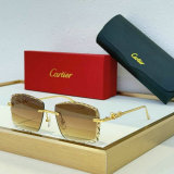 Cartier Sunglasses AAA (732)
