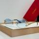 Cartier Sunglasses AAA (1838)