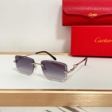 Cartier Sunglasses AAA (3011)