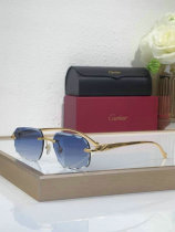 Cartier Sunglasses AAA (1205) Cartier Sunglasses AAA (1205)