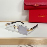 Cartier Sunglasses AAA (2975)