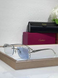 Cartier Sunglasses AAA (1231)