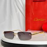 Cartier Sunglasses AAA (2378)