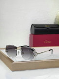 Cartier Sunglasses AAA (1255)