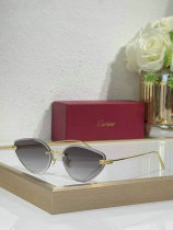 Cartier Sunglasses AAA (568) Cartier Sunglasses AAA (568)
