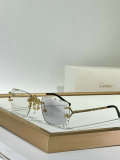 Cartier Sunglasses AAA (1029)