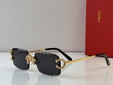 Cartier Sunglasses AAA (2821)