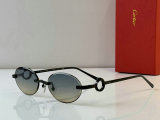 Cartier Sunglasses AAA (4)