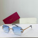Cartier Sunglasses AAA (166)