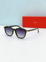 Cartier Sunglasses AAA (758) Cartier Sunglasses AAA (758)