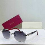 Cartier Sunglasses AAA (180)