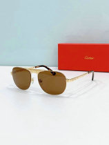 Cartier Sunglasses AAA (765) Cartier Sunglasses AAA (765)