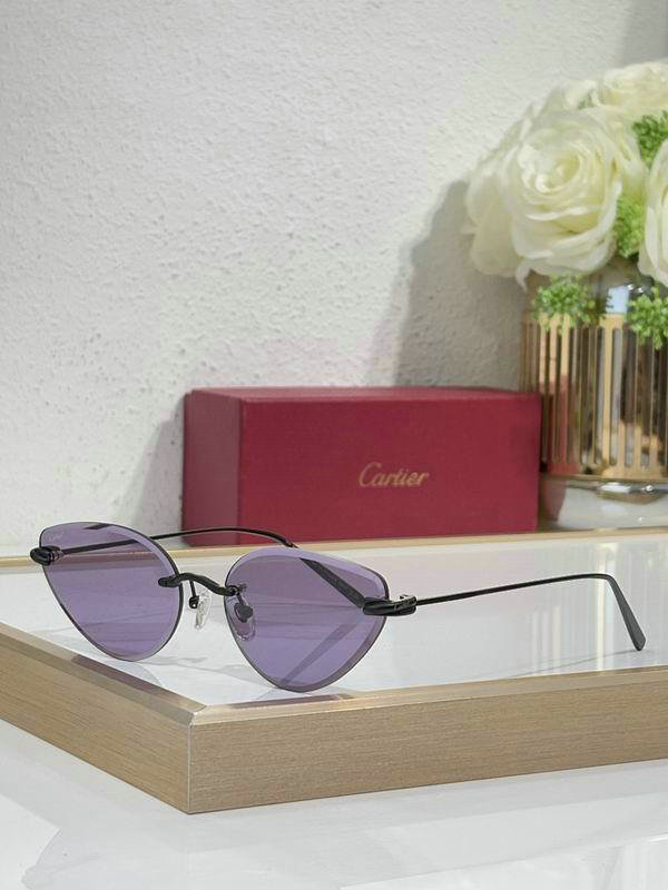Cartier Sunglasses AAA (569)
