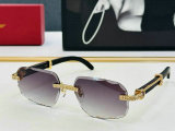 Cartier Sunglasses AAA (1591)