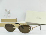 Cartier Sunglasses AAA (705)