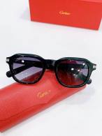 Cartier Sunglasses AAA (4079)